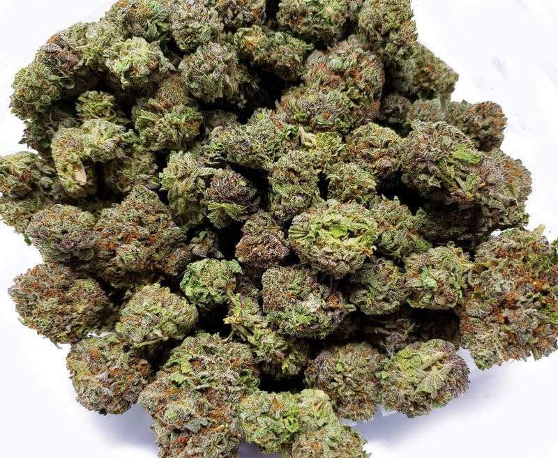 Netherlands Map